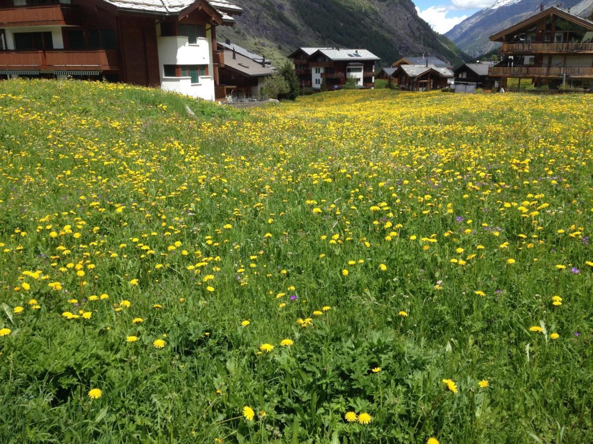 Haus Marico Apartment Zermatt Exterior foto